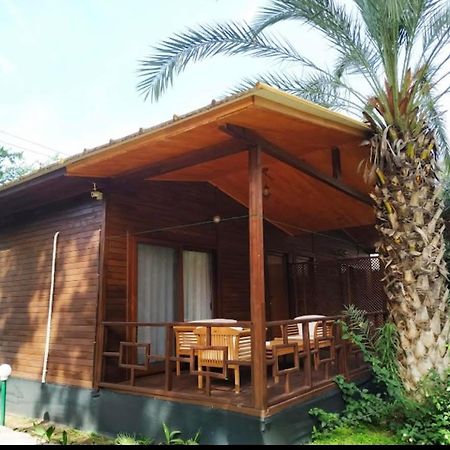 Çıralı Olympos Yavuz Hotel מראה חיצוני תמונה
