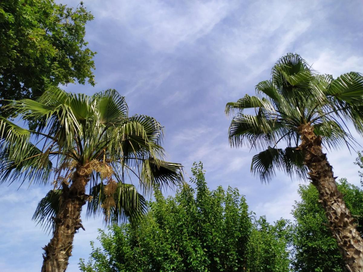 Çıralı Olympos Yavuz Hotel מראה חיצוני תמונה