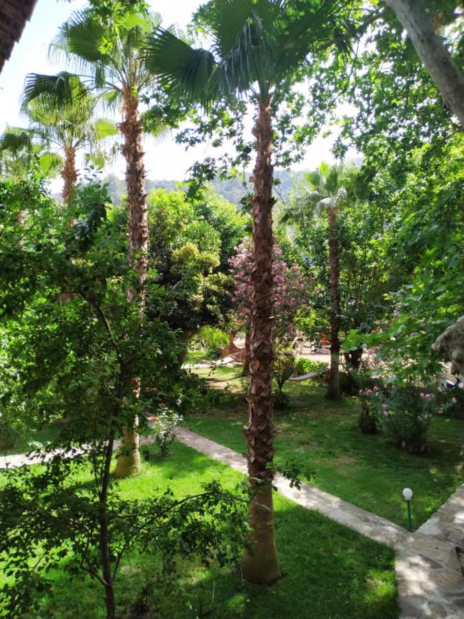 Çıralı Olympos Yavuz Hotel מראה חיצוני תמונה