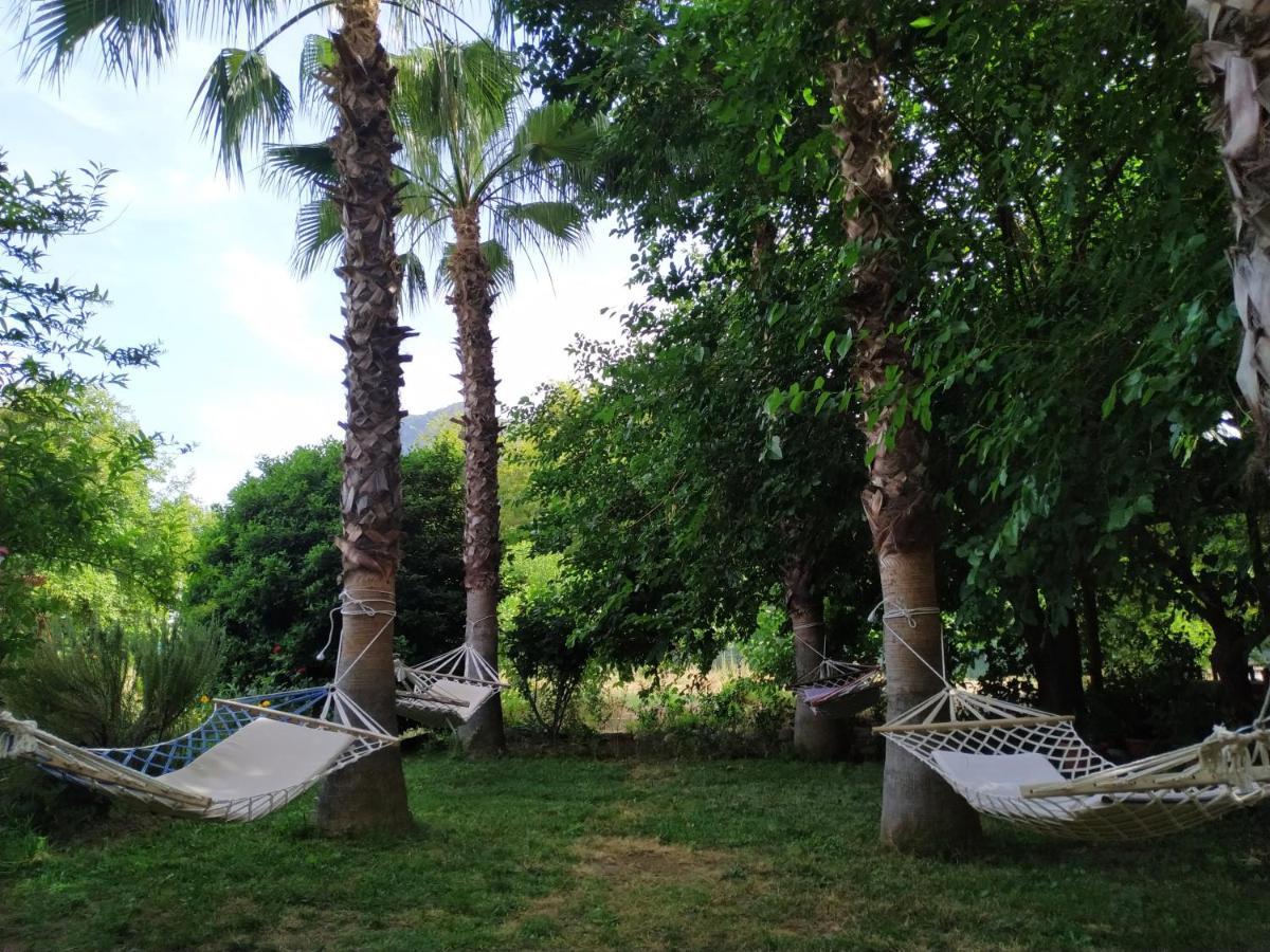 Çıralı Olympos Yavuz Hotel מראה חיצוני תמונה