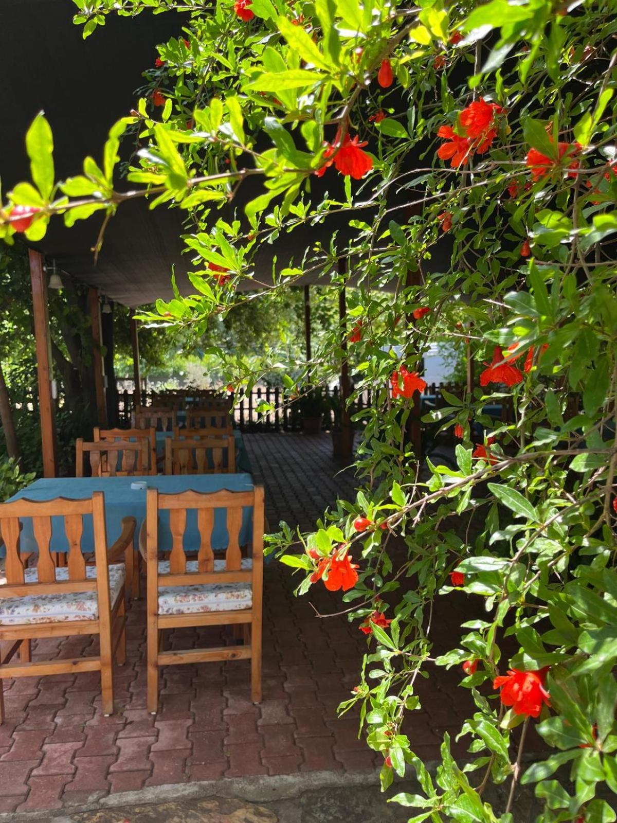 Çıralı Olympos Yavuz Hotel מראה חיצוני תמונה
