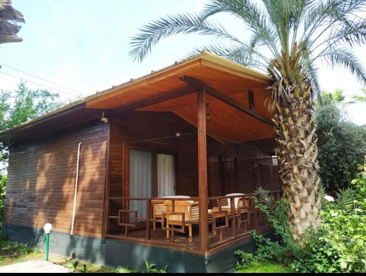 Çıralı Olympos Yavuz Hotel מראה חיצוני תמונה