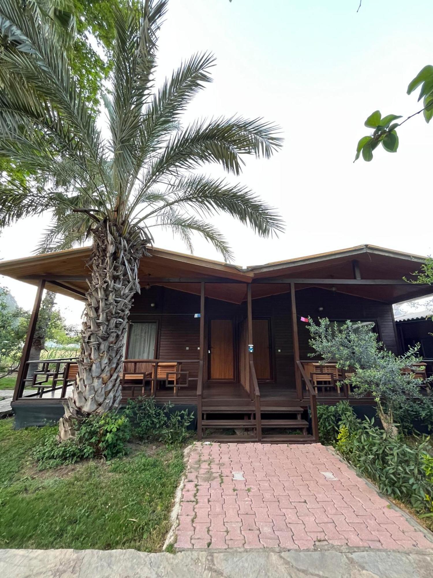 Çıralı Olympos Yavuz Hotel מראה חיצוני תמונה